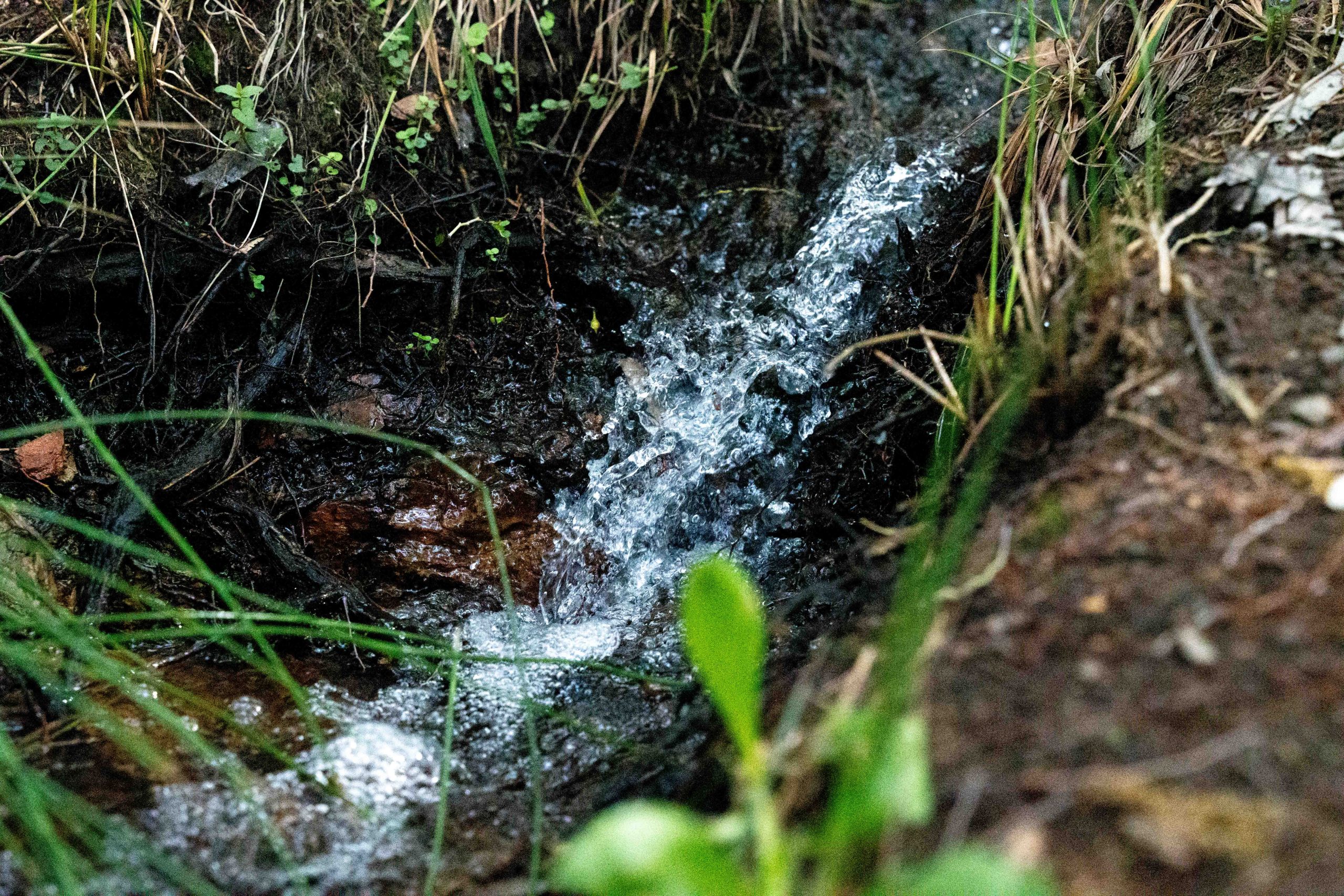 Imagen de la naturaleza de El Hoyo con un riachuelo, foto realizada por Ikonox.