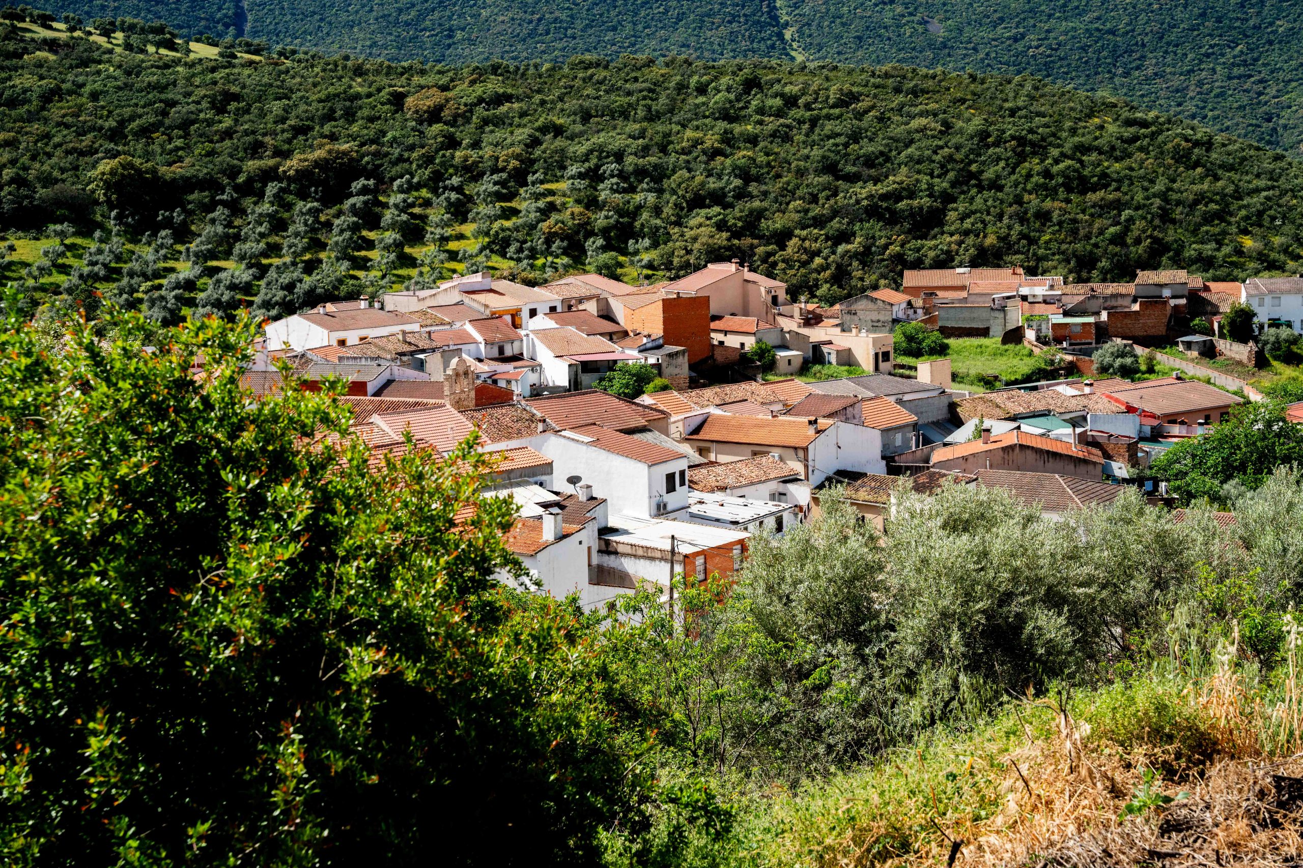 El Hoyo rodeado de naturaleza, foto realizada por Ikonox